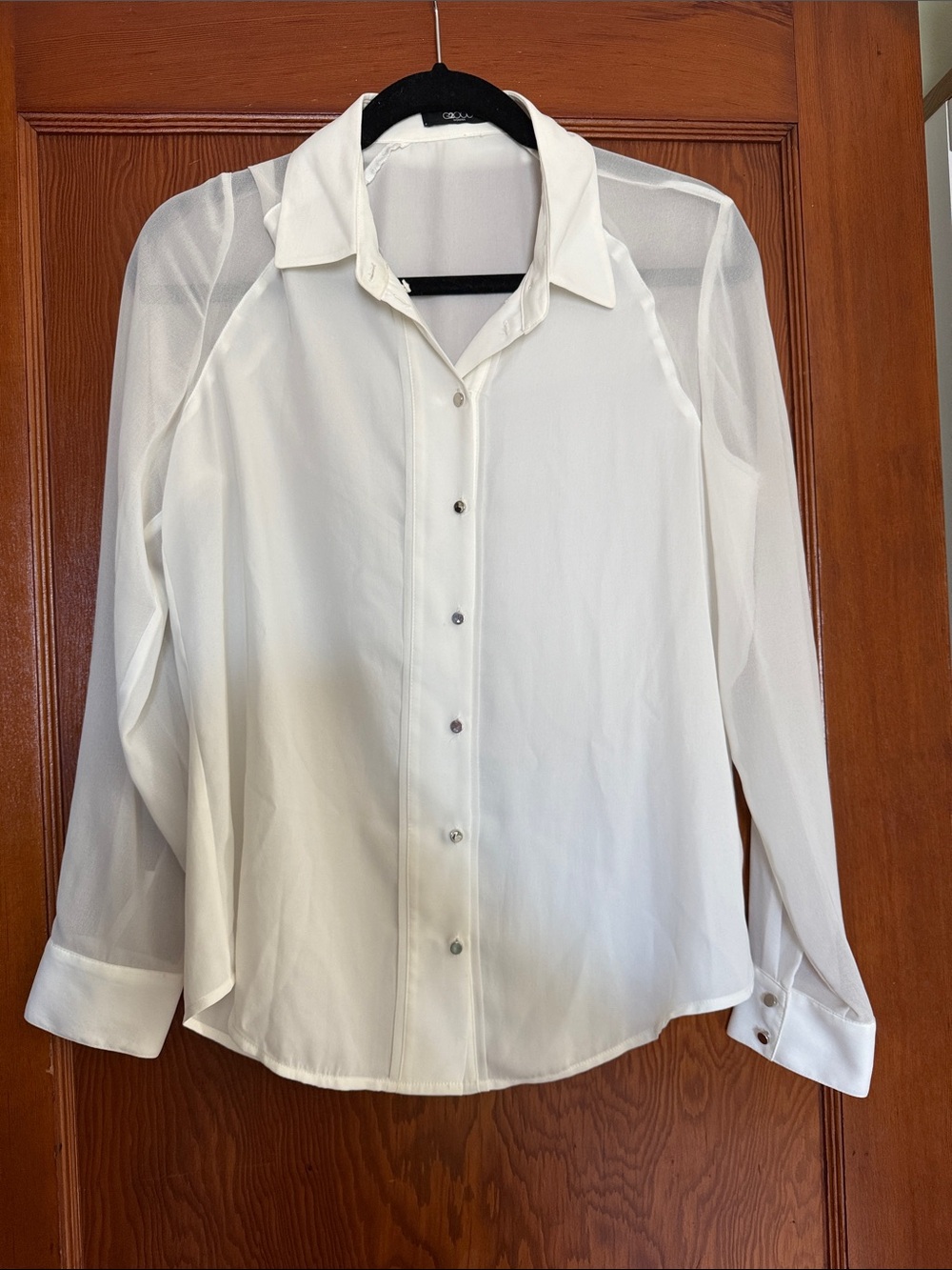 Lightweight White Sheer Button-Front Blouse
